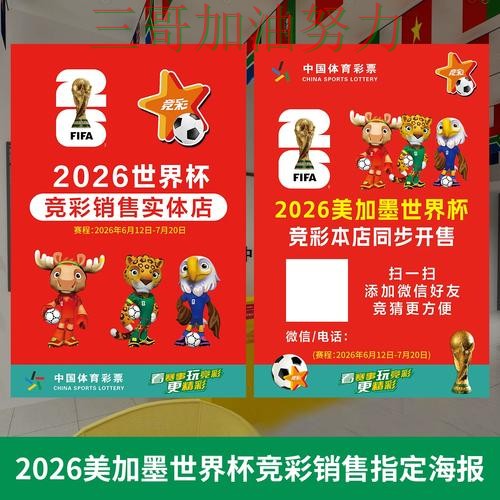 世界杯投注深度解析总结：如何操作关键点解析（世界杯官方信息）