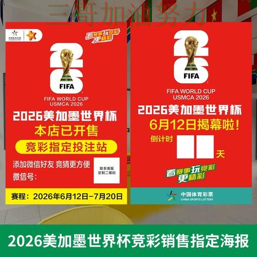世界杯投注深度解析总结：如何操作关键点解析（世界杯官方信息）